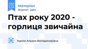 Птах року 2020 - горлиця звичайна