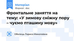 Фронтальне заняття на тему: «У зимову сніжну пору – чуємо пташину мову»