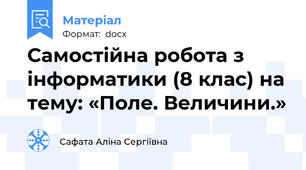 Самостійна робота з інформатики (8 клас) на тему: «Поле. Величини.»