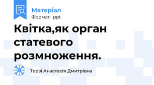 Квітка,як орган статевого розмноження.