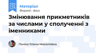 Змінювання прикметників за числами у сполученні з іменниками