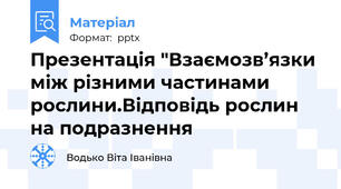 Презентація "Взаємозв’язки між різними частинами рослини.Відповідь рослин на подразнення