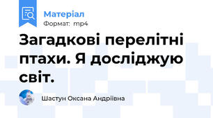 Загадкові перелітні птахи. Я досліджую світ.