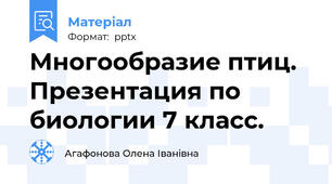 Многообразие птиц. Презентация по биологии 7 класс.