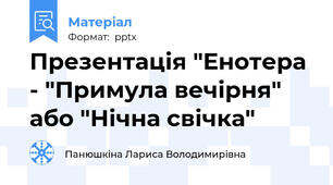 Презентація "Енотера - "Примула вечірня" або "Нічна свічка"