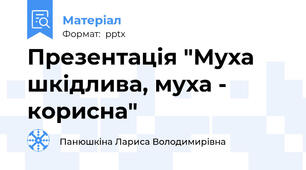 Презентація "Муха шкідлива, муха - корисна"