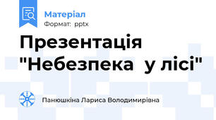Презентація "Небезпека  у лісі"