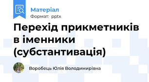 Перехід прикметників в іменники (субстантивація)