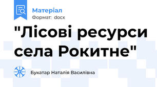 "Лісові ресурси села Рокитне"