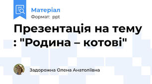 Презентація на тему : "Родина – котові"