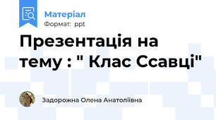 Презентація на тему : " Клас Ссавці"