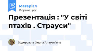 Презентація : "У світі птахів . Страуси"