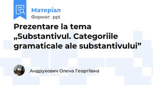 Prezentare la tema „Substantivul. Categoriile gramaticale ale substantivului”