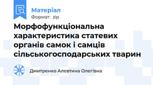 Морфофункціональна характеристика статевих органів самок і самців сільськогосподарських тварин