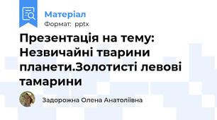 Презентація на тему: Незвичайні тварини планети.Золотисті левові тамарини