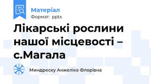 Лікарські рослини нашої місцевості – с.Магала