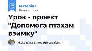 Урок - проект "Допомога птахам взимку"