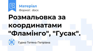 Розмальовка за координатами "Фламінго", "Гусак".