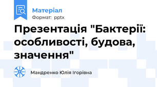 Презентація "Бактерії: особливості, будова, значення"