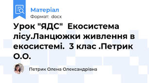 Урок "ЯДС"  Екосистема лісу.Ланцюжки живлення в екосистемі.  3 клас .Петрик О.О.