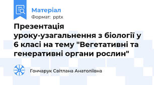 Презентація уроку-узагальнення з біології у 6 класі на тему "Вегетативні та генеративні органи рослин"