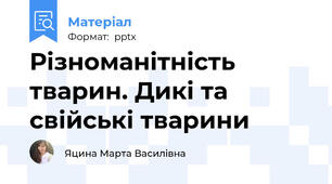 Різноманітність тварин. Дикі та свійські тварини