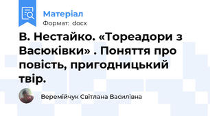В. Нестайко. «Тореадори з Васюківки» . Поняття про повість, пригодницький твір.