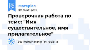 Проверочная работа по теме: "Имя существительное, имя прилагательное"