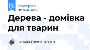 Дерева - домівка для тварин