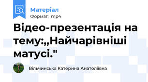 Відео-презентація на тему:,,Найчарівніші матусі."