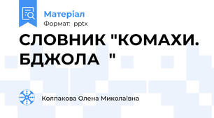 СЛОВНИК "КОМАХИ. БДЖОЛА  "