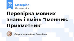 Перевірка мовних знань і вмінь "Іменник. Прикметник"