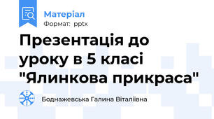 Презентація до уроку в 5 класі "Ялинкова прикраса"