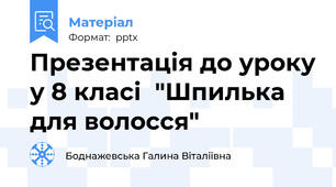 Презентація до уроку у 8 класі  "Шпилька для волосся"
