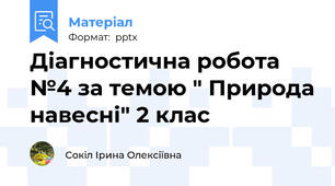 Діагностична робота №4 за темою " Природа навесні" 2 клас