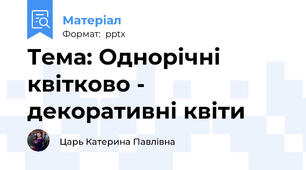 Тема: Однорічні квітково - декоративні квіти