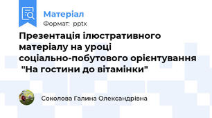 Презентація ілюстративного матеріалу на уроці соціально-побутового орієнтування   "На гостини до вітамінки"