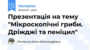 Презентація на тему "Мікроскопічні гриби. Дріжджі та пеніцил"
