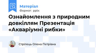 Ознайомлення з природним довкіллям Презентація «Акваріумні рибки»