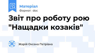 Звіт про роботу рою "Нащадки козаків"
