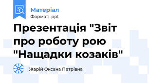 Презентація "Звіт про роботу рою "Нащадки козаків"