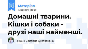 Домашні тварини. Кішки і собаки - друзі наші найменші.