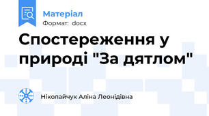 Спостереження у природі "За дятлом"