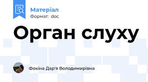 Орган слуху