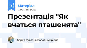 Презентація "Як вчаться пташенята"