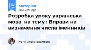 Розробка уроку українська мова  на тему : Вправи на визначення числа іменників