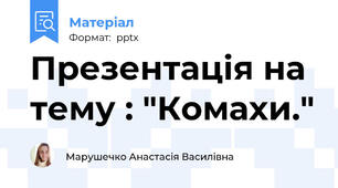 Презентація на тему : "Комахи."