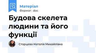 Будова скелета людини та його функції