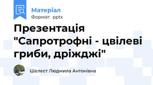 Презентація "Сапротрофні - цвілеві гриби, дріжджі"