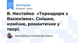 В. Нестайко  «Тореадори з Васюківки». Смішне, комічне, романтичне у творі.
